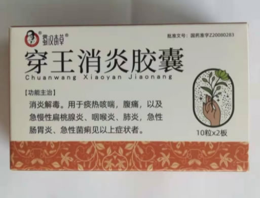 蜀汉本草穿王消炎胶囊招商代理 20粒