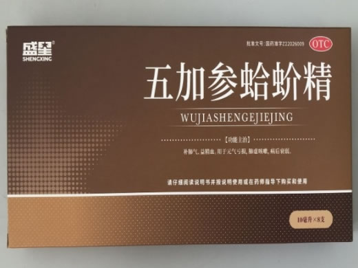 盛星五加参蛤蚧精招商代理 8支