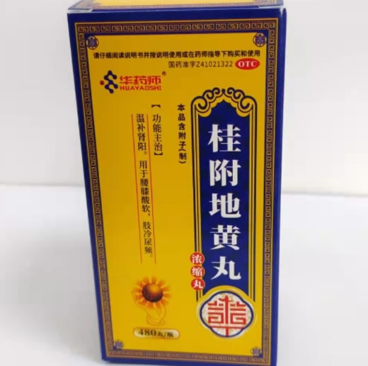 华药师桂附地黄丸(浓缩丸)招商代理 480丸