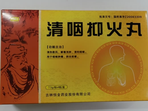 片刻亭清咽抑火丸招商代理 30g 片刻亭