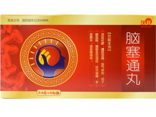 脑塞通丸
