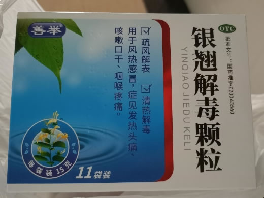 善举银翘解毒颗粒招商代理 11袋