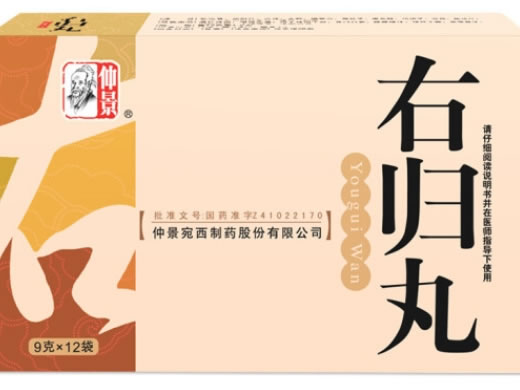 仲景右归丸招商代理 12袋