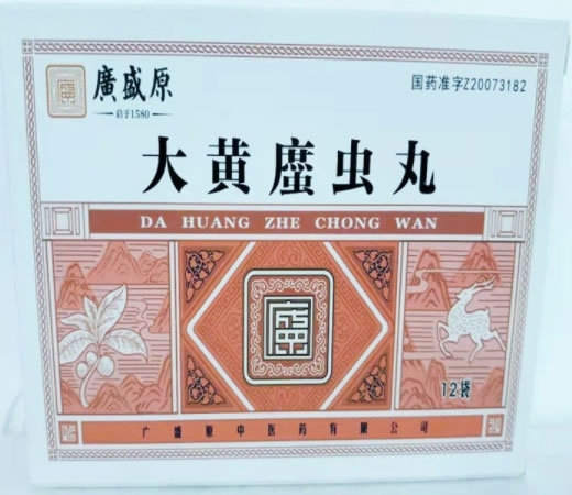 广盛原大黄䗪虫丸招商代理 12袋 广盛原