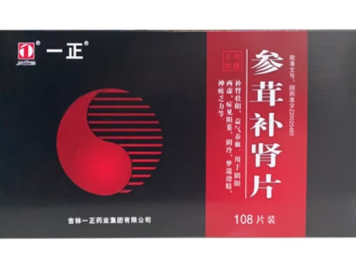参茸补肾片