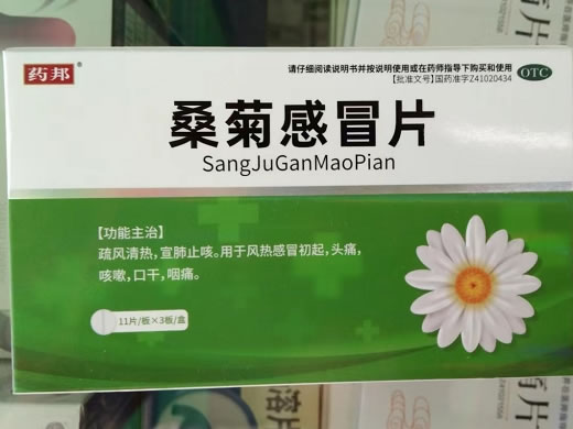 药邦桑菊感冒片招商代理 