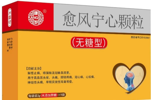 康岁愈风宁心颗粒招商代理 9袋