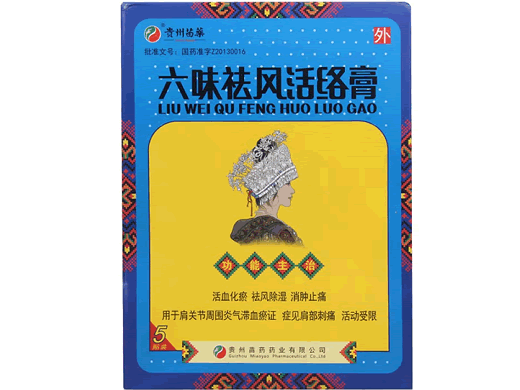 六味祛风活络膏
