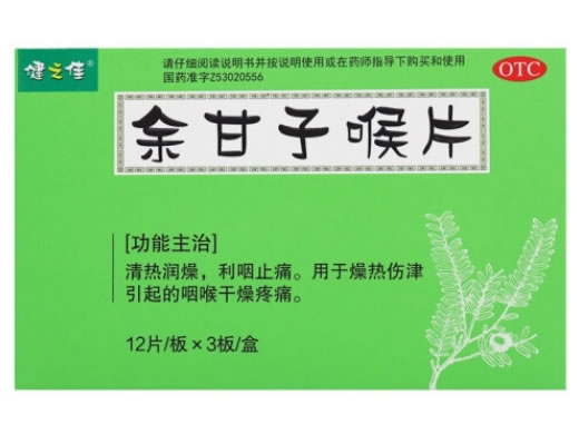 健之佳余甘子喉片招商代理 36片