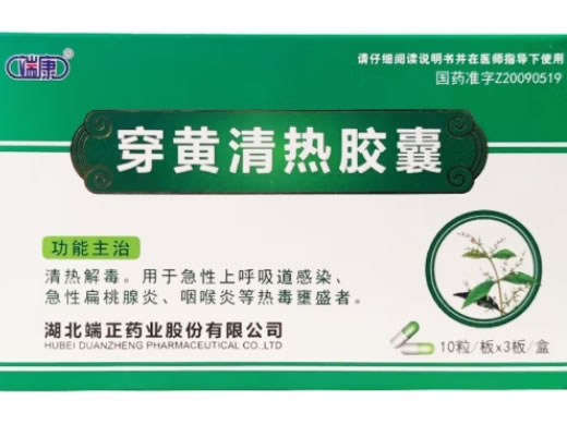 端康穿黄清热胶囊招商代理 30粒