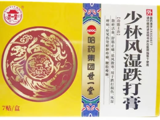 世一堂少林风湿跌打膏招商代理 7片
