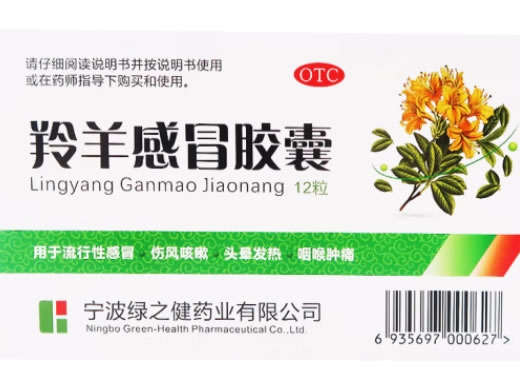 羚羊感冒胶囊招商代理 12粒 绿之健