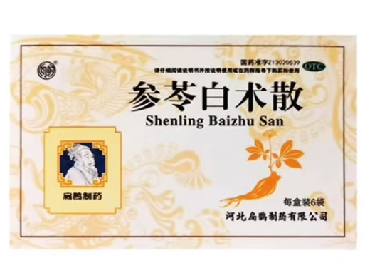 向前参苓白术散招商代理 6袋