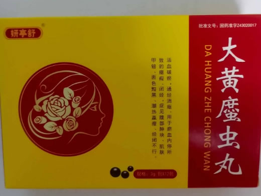 妍亭舒大黄䗪虫丸招商代理 12包 湖南德康