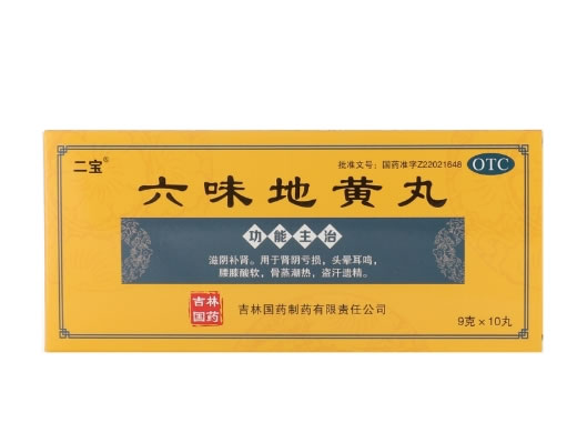 二宝六味地黄丸招商代理 10丸