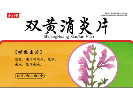 药邦双黄消炎片招商代理 36片