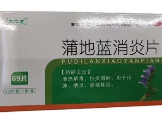 朱仁堂蒲地蓝消炎片招商代理 69片