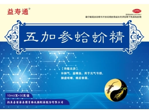 益寿通五加参蛤蚧精招商代理 30支
