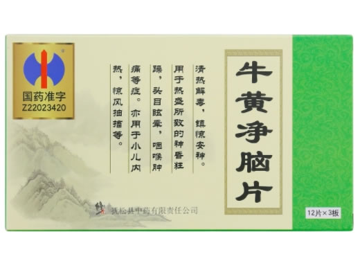 修正牛黄净脑片招商代理 