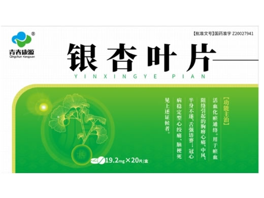 青春康源银杏叶片招商代理 20片
