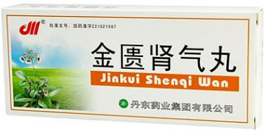 金匮肾气丸招商代理 10丸 丹东药业