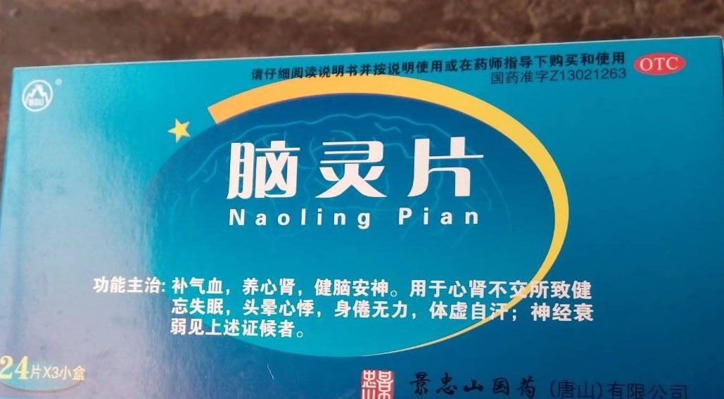 脑灵片招商代理 72片 景忠山国药