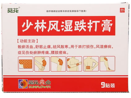 桐菊少林风湿跌打膏招商代理 9贴