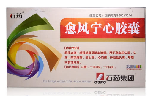 愈风宁心胶囊