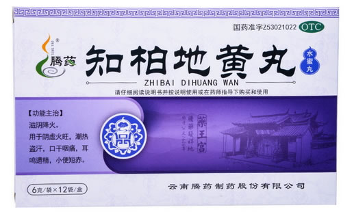 腾药知柏地黄丸招商代理 12袋