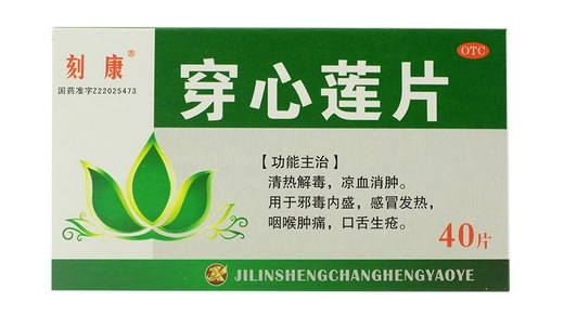 穿心莲片招商代理 40片 长恒药业