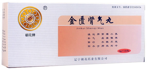 朝花牌金匮肾气丸招商代理 10丸 朝花药业