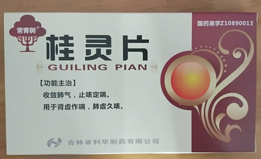 常青树桂灵片招商代理 3小盒