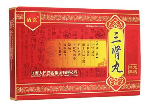 三肾丸招商代理 9袋 人民药业