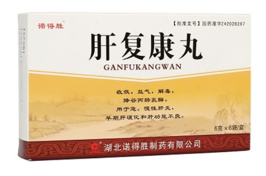 肝复康丸招商代理 6袋 诺得胜制药