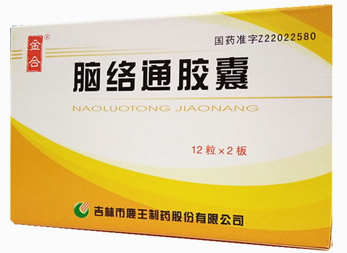 脑络通胶囊招商代理 24粒 吉林市鹿王制药