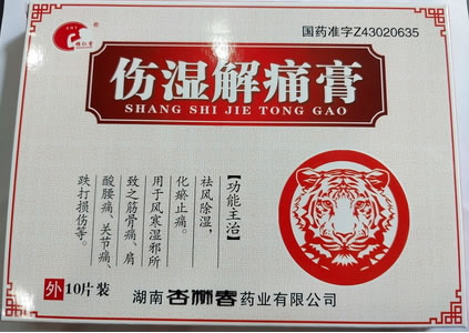 雄仁堂伤湿解痛膏招商代理 10片装
