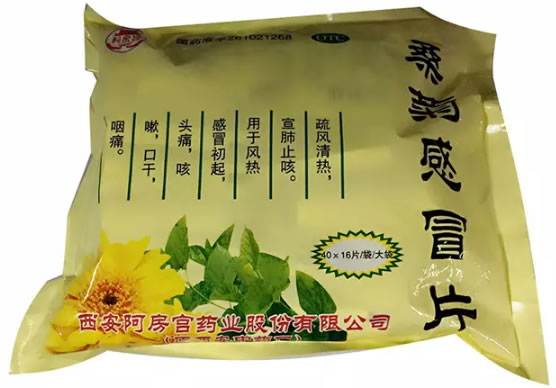 阿房宫桑菊感冒片招商代理 40袋
