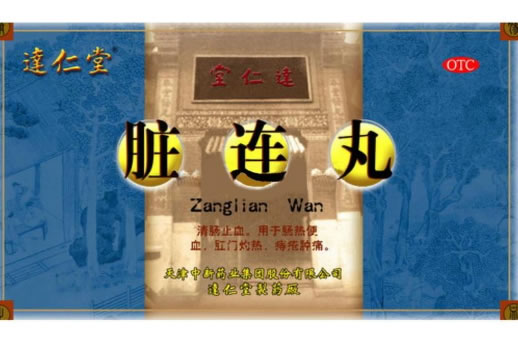 达仁堂脏连丸招商代理 9g*10丸 达仁堂制药厂