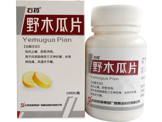 石药野木瓜片招商代理 100片 泰诺制药