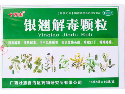 十万山银翘解毒颗粒招商代理 10袋