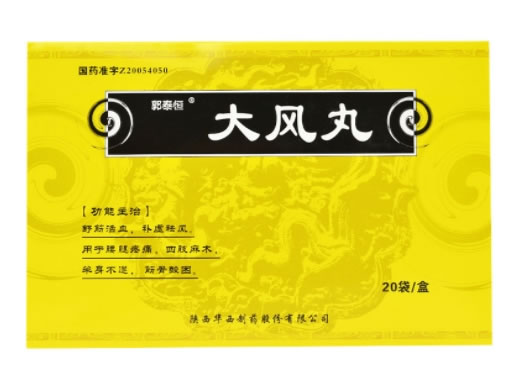 郭泰恒大风丸招商代理 20袋 陕西华西制药