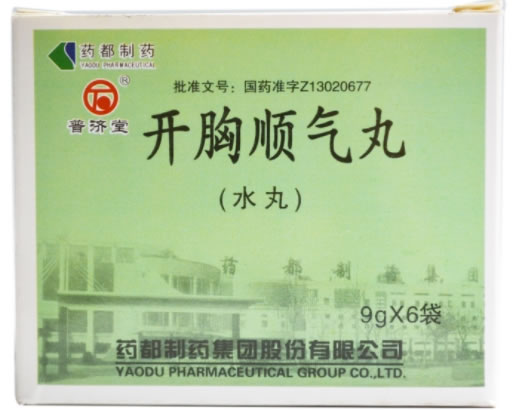 普济堂开胸顺气丸招商代理 6袋