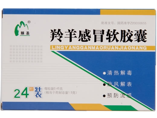 颐圣羚羊感冒软胶囊招商代理 24粒 山西黄河中药