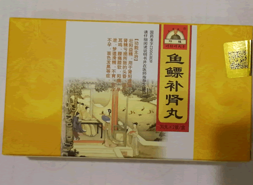 叶桂叶天士鱼鳔补肾丸招商代理 叶桂叶天士