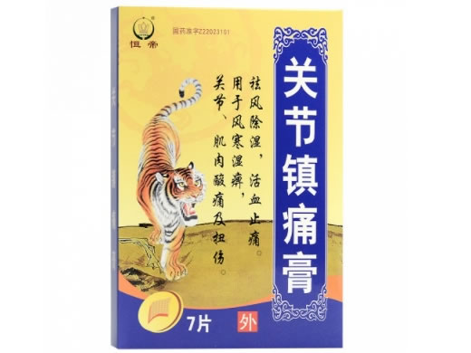 关节镇痛膏