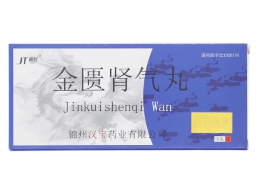 金匮肾气丸招商代理 10丸 锦州汉宝