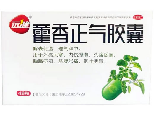 远健藿香正气胶囊招商代理 48粒