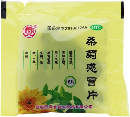 阿房宫桑菊感冒片招商代理 16片 西安阿房宫药业