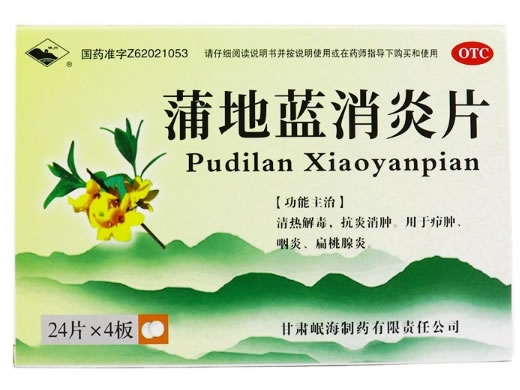 岷州蒲地蓝消炎片招商代理 96片 甘肃岷海