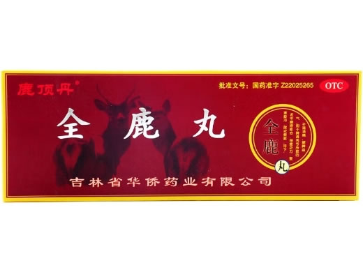 鹿顶丹全鹿丸招商代理 10袋